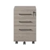 Parkside Mobile File Cabinet Light Brown - Ameriwood Home